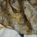 Moasaic | Mustard